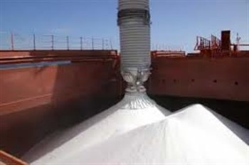 Dry Bulk Carrier